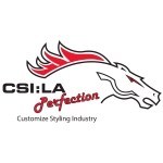 Logo CSI: LA Perfection