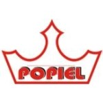 Logo Andreas Popiel Kfz-Handel