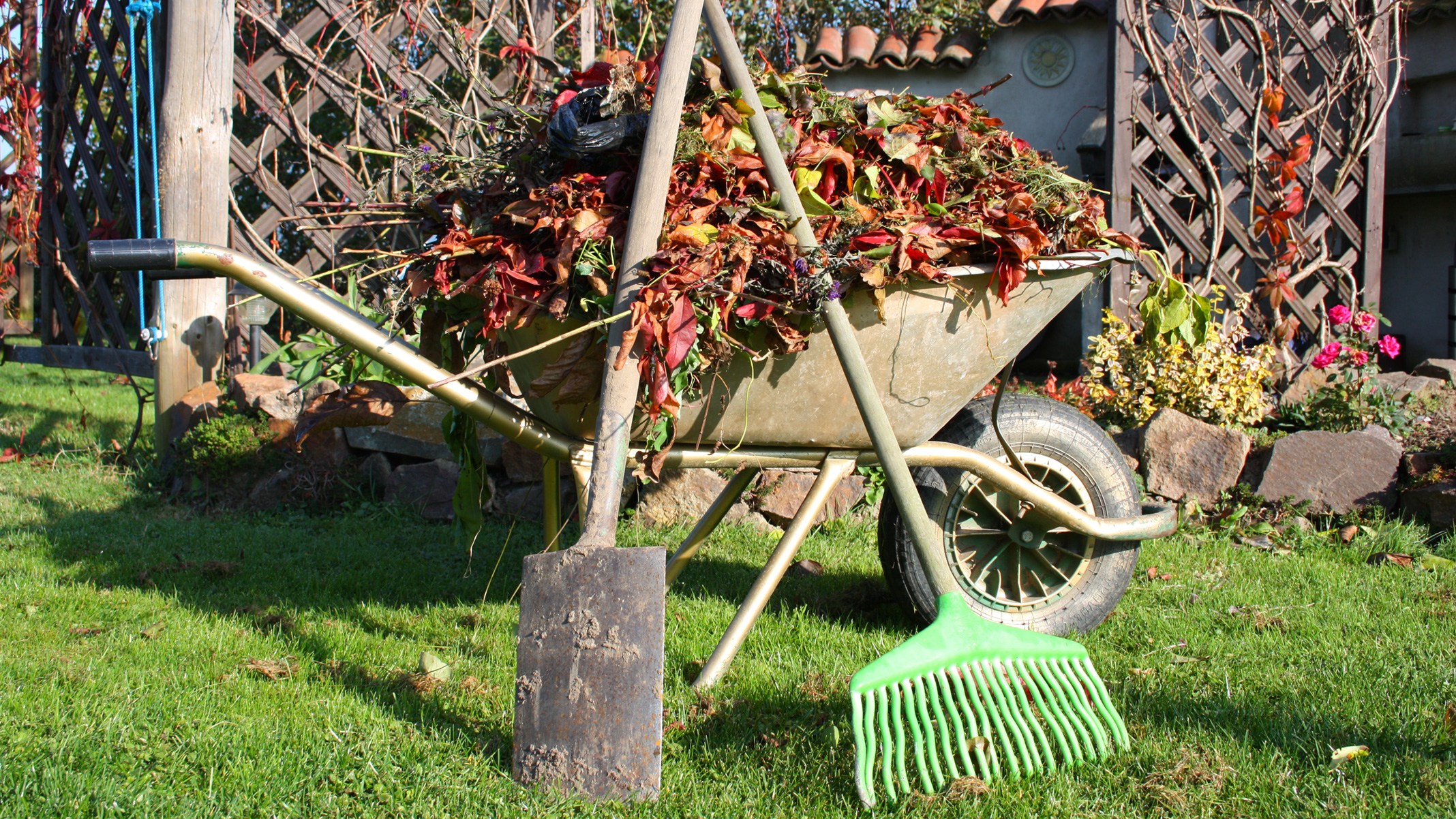 Herbstlaub mit Rechen und Schaufel in der Schubkarre sammeln.