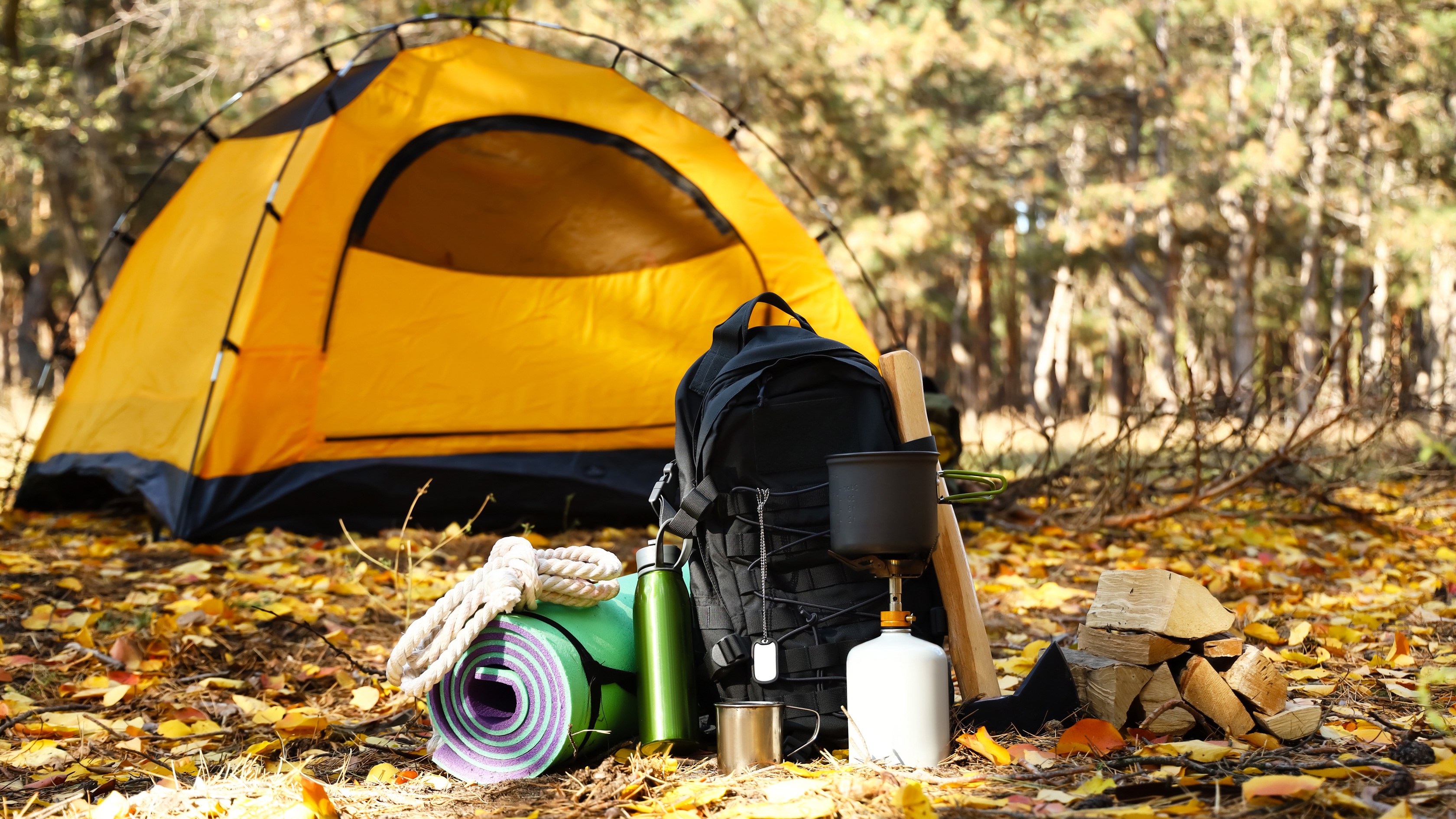 Zelt und Campingzubehör im herbstlichen Wald